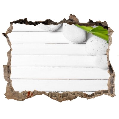 Samolepící díra na stěnu nálepka Zelená oáza v betóne