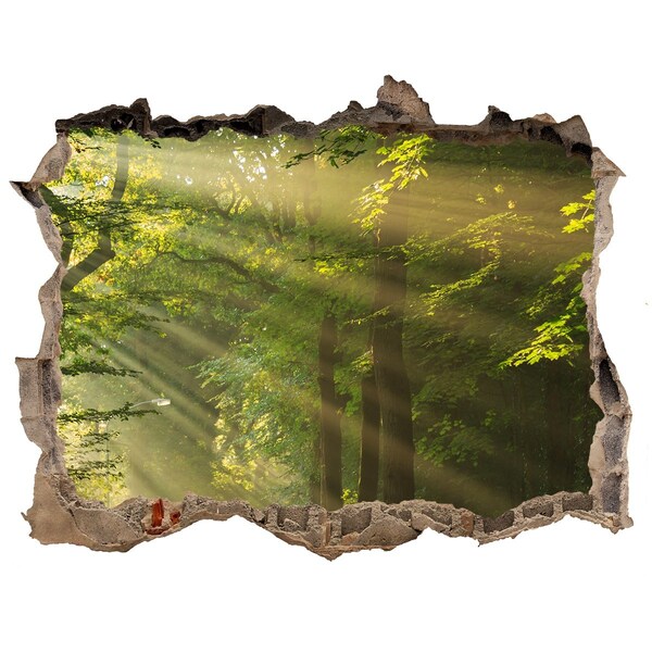 Nálepka fototapeta 3D výhled Forest na slnku