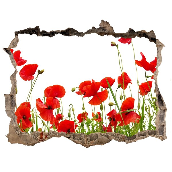 Samolepící díra nálepka beton Kvetinový raj v betóne