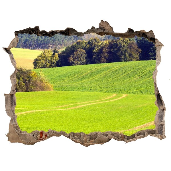 Nálepka fototapeta 3D výhled Zelená lúka za múrom