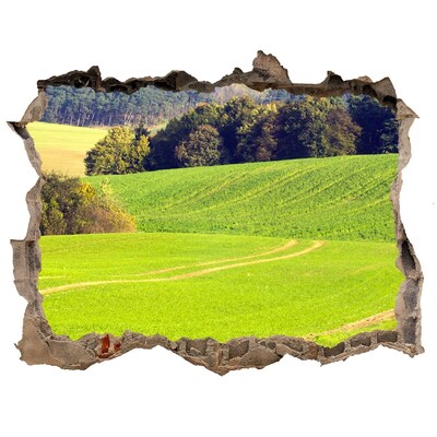 Nálepka fototapeta 3D výhled Zelená lúka za múrom