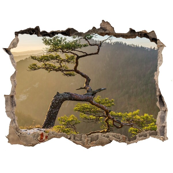 Nálepka fototapeta 3D výhled Pieniny sokolica