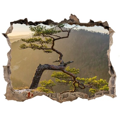Nálepka fototapeta 3D výhled Pieniny sokolica