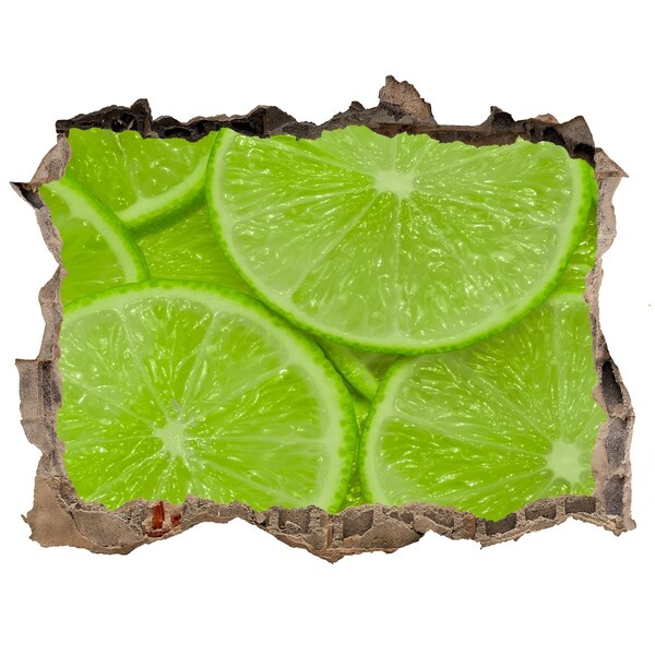 Nálepka 3D díra na zeď beton Citrónový raj