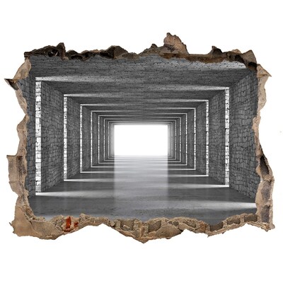 Díra 3D fototapeta na stěnu Brick tunnel