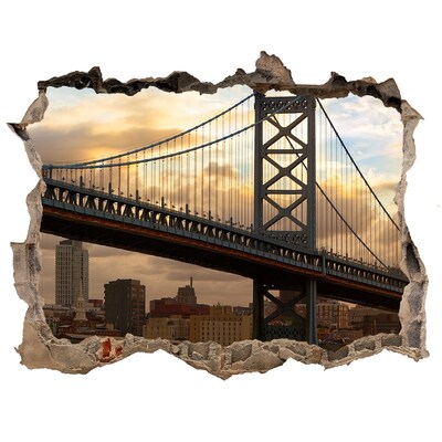 Fototapeta díra na zeď 3D Bridge philadelphia