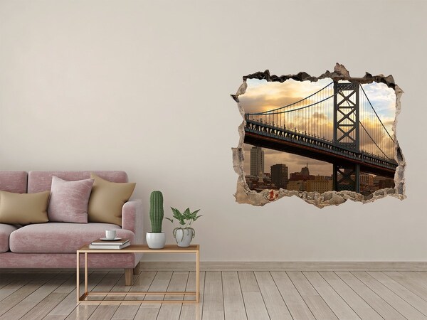 Fototapeta díra na zeď 3D Bridge philadelphia