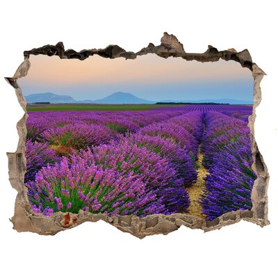 Nálepka fototapeta 3D výhled Pole levanduľa