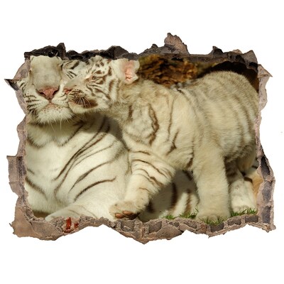 Díra 3D fototapeta nálepka Tigers