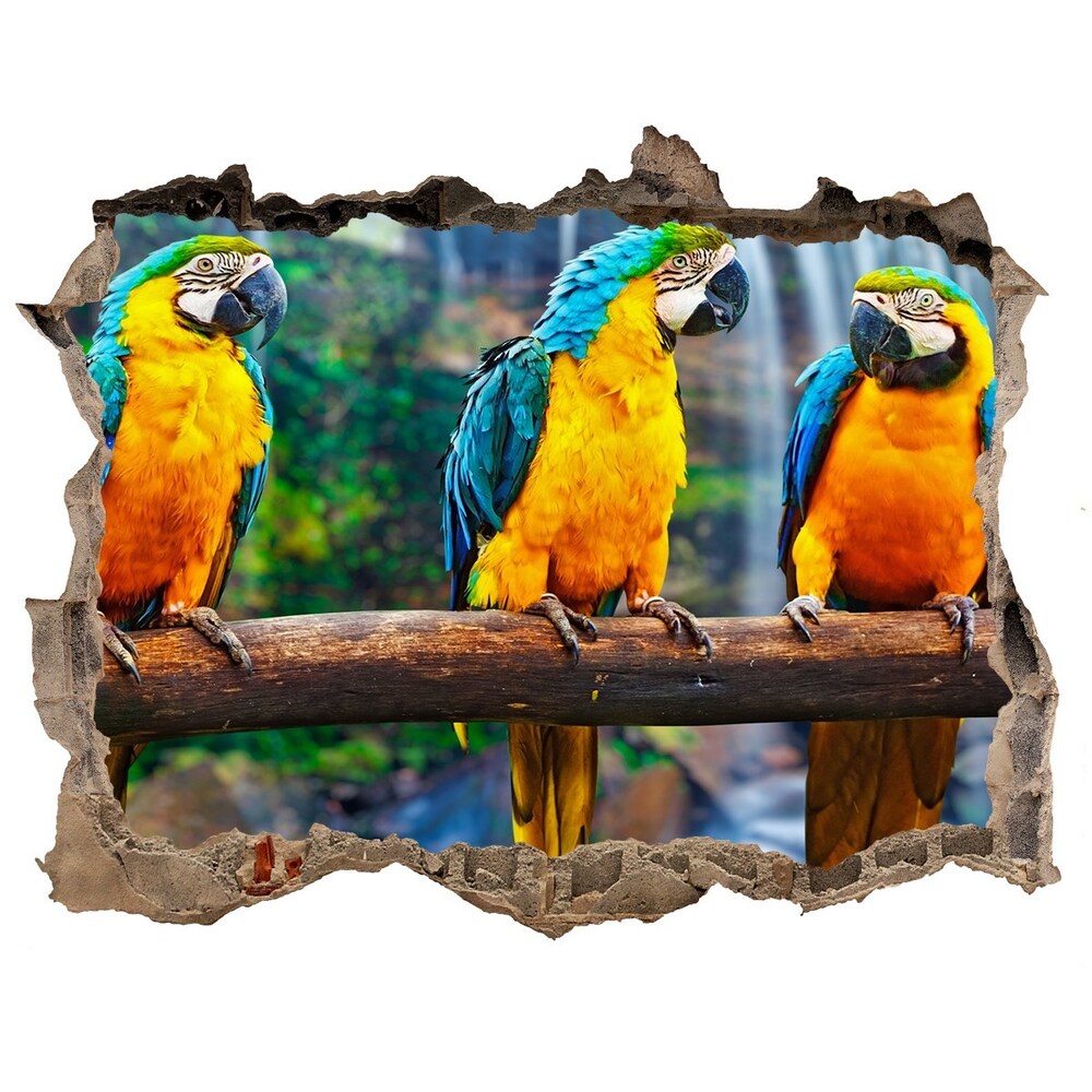 Díra 3D fototapeta nálepka Papagáje na vetve