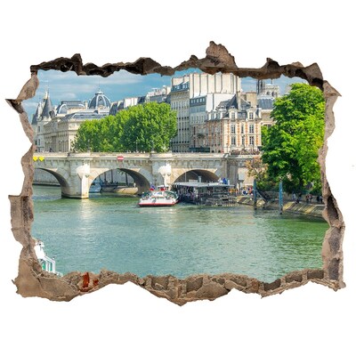 Fototapeta díra na zeď 3D Seine v paríži