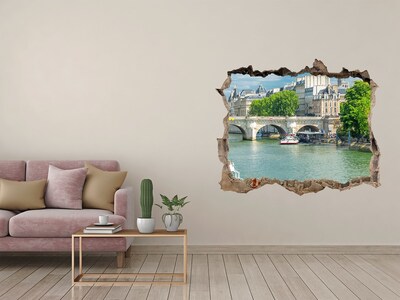 Fototapeta díra na zeď 3D Seine v paríži