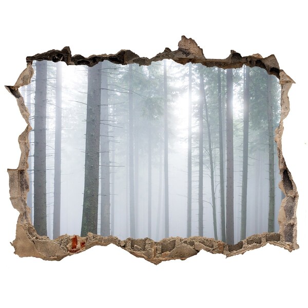 Nálepka fototapeta 3D výhled Hmla v lese