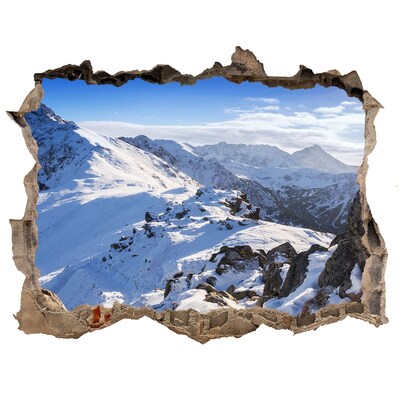 Nálepka fototapeta 3D Summit tatra