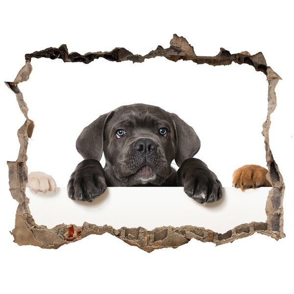 Díra 3D fototapeta nálepka Milé šteniatko spoza steny