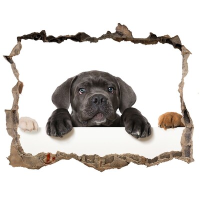 Díra 3D fototapeta nálepka Milé šteniatko spoza steny