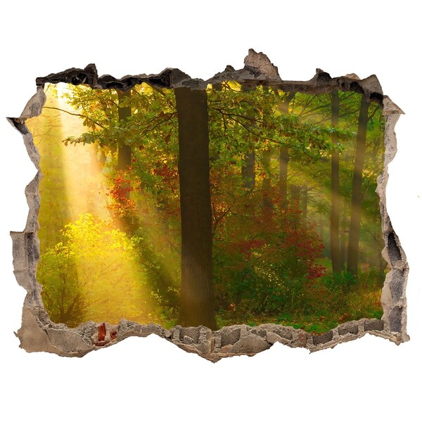 Nálepka fototapeta 3D výhled Forest na slnku