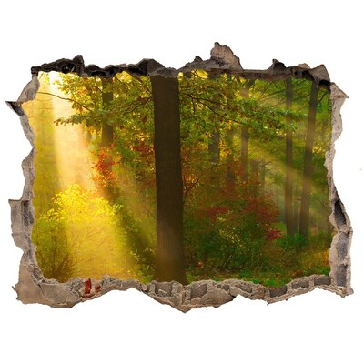 Nálepka fototapeta 3D výhled Forest na slnku