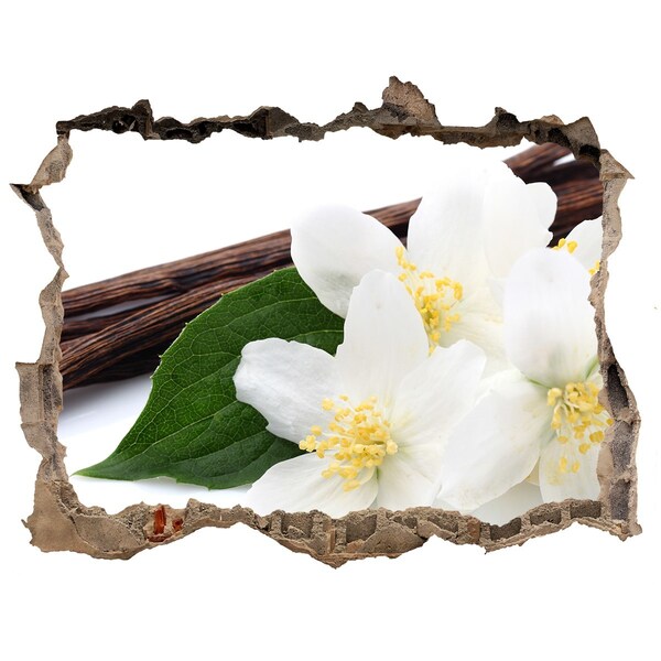 Samolepící díra na stěnu Jazmínové kvety v betóne