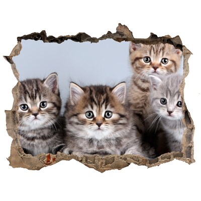 Díra 3D fototapeta nálepka Päť mačiek
