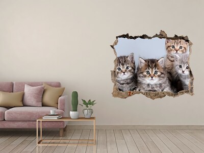 Díra 3D fototapeta nálepka Päť mačiek