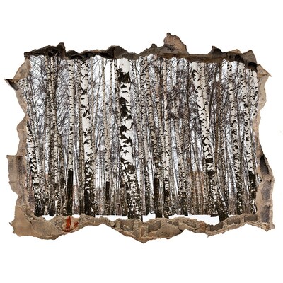 Nálepka fototapeta 3D výhled Zimný brezový les