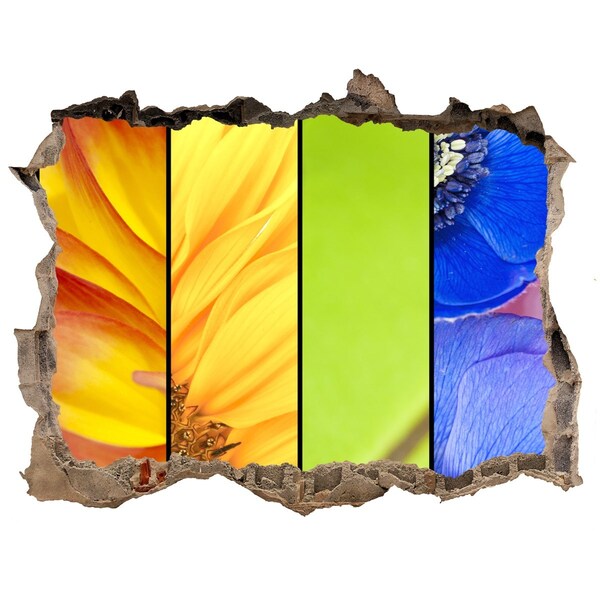 Samolepící díra nálepka Kvetinový svet za stenou