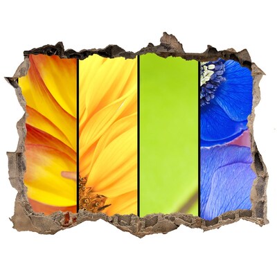 Samolepící díra nálepka Kvetinový svet za stenou