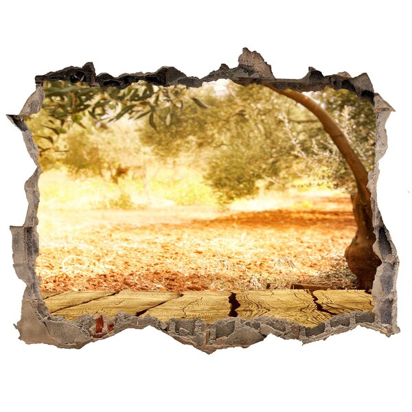 Nálepka fototapeta 3D výhled Olivový