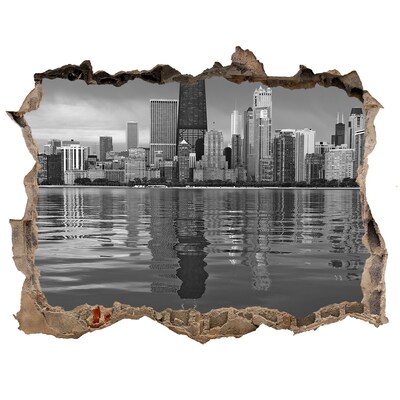 Fototapeta díra na zeď 3D nálepka Chicago