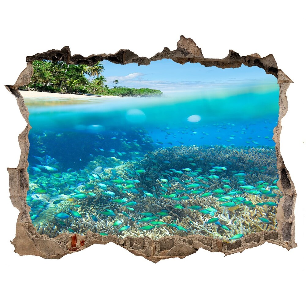 Nálepka fototapeta 3D výhled Koralový útes