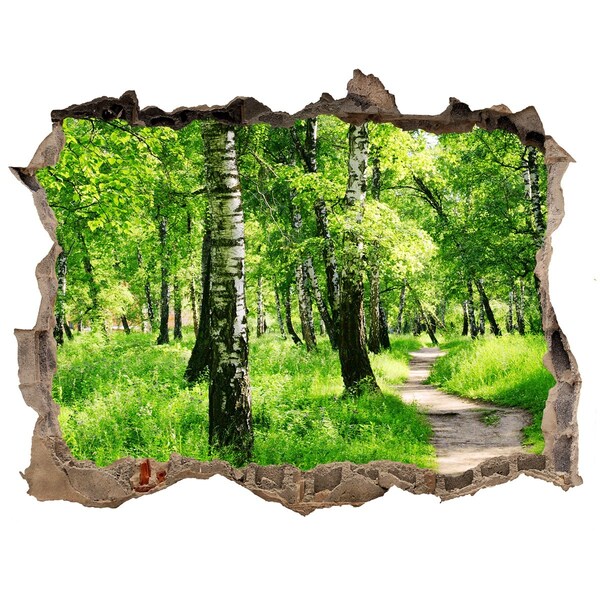 Nálepka fototapeta 3D výhled Brezového lesa