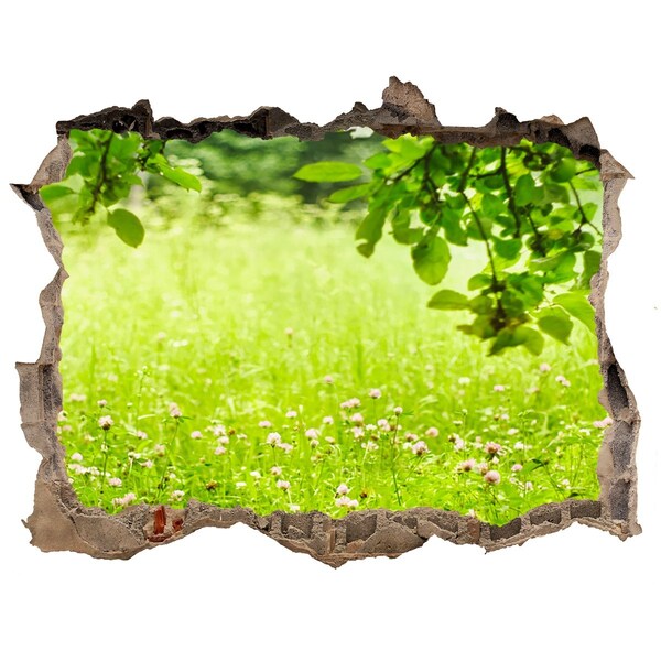 Nálepka fototapeta 3D výhled Zelenej lúke