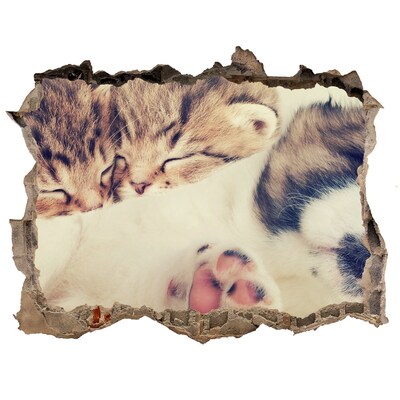 Díra 3D fototapeta na stěnu Roztomilé mačiatka v diere v stene