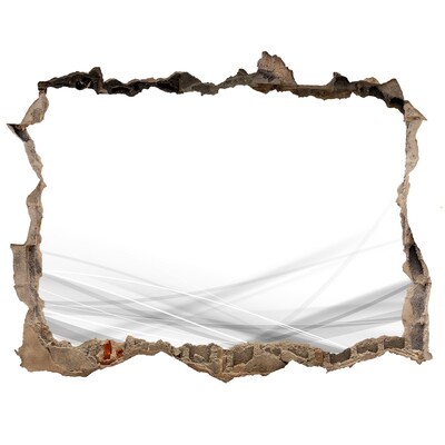 Díra 3D fototapeta na stěnu Zrúcaná stena s výhľadom na priestor