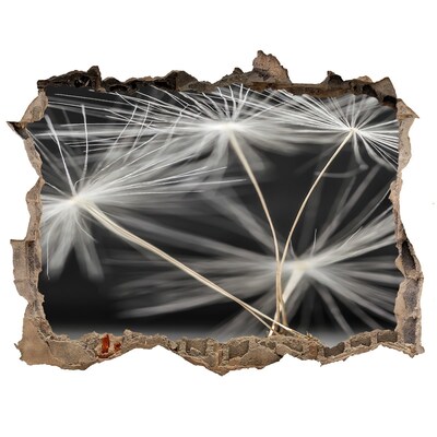 Samolepící díra nálepka Kvety púpavy v betóne