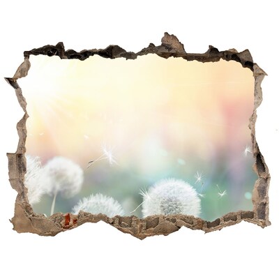 Samolepící díra nálepka Kvetinový svet za dierou