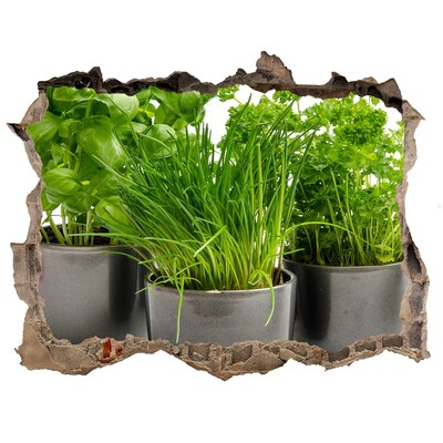 Samolepící nálepka Zelená záhrada v kvetináčoch