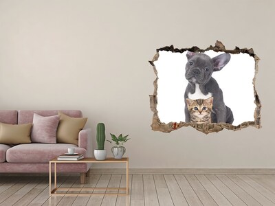 Díra 3D fototapeta na stěnu Pes a mačka