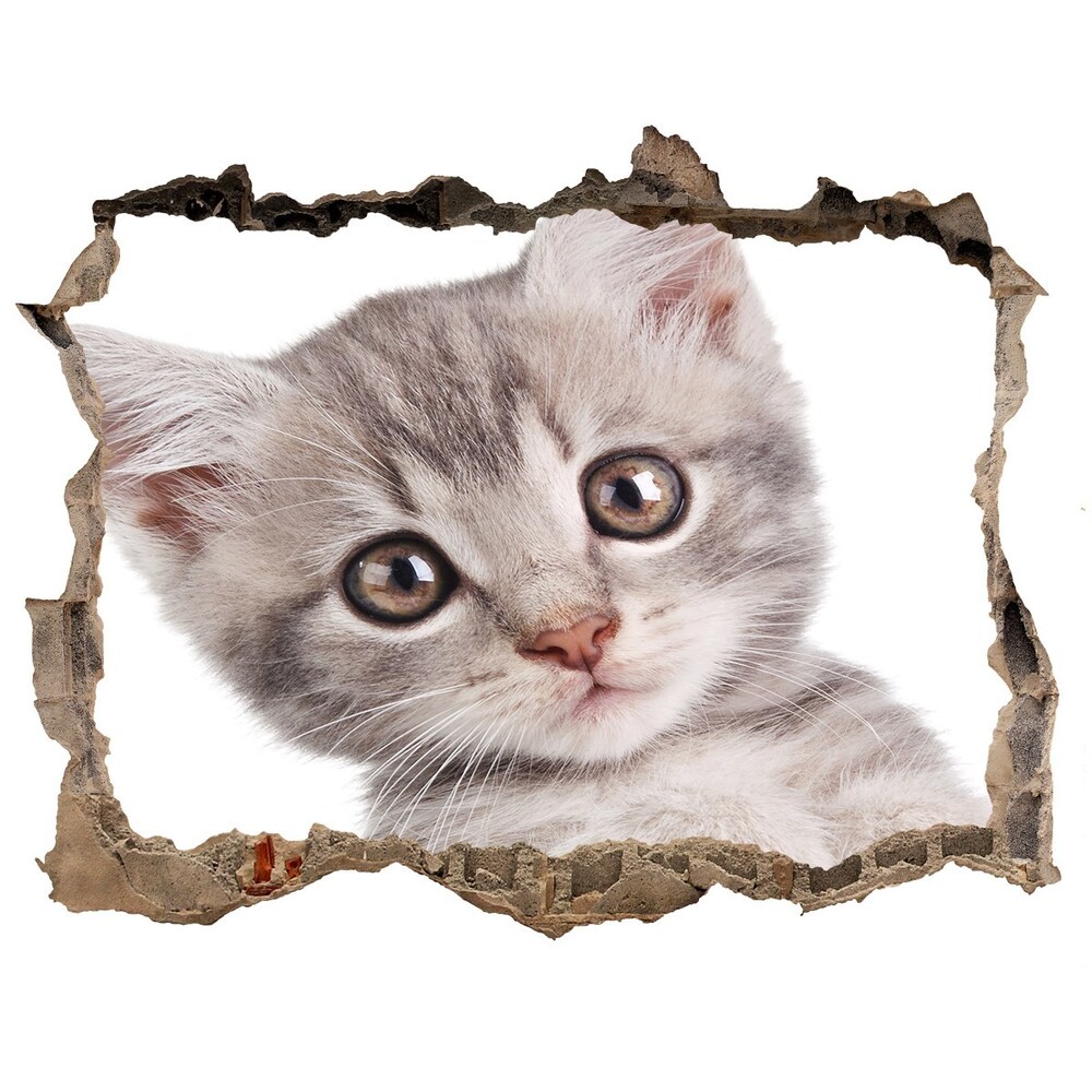 Díra 3D fototapeta na stěnu Sivá mačka