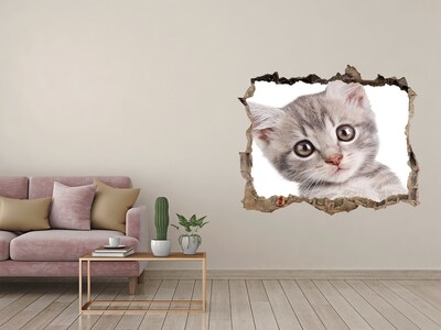 Díra 3D fototapeta na stěnu Sivá mačka