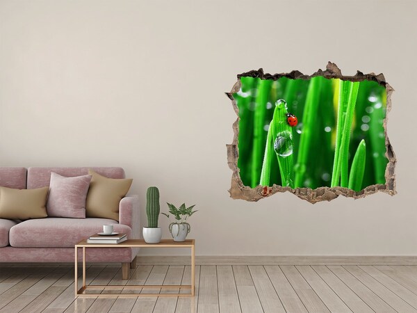 Samolepící díra Kvapka rosy na tráve s lienkou