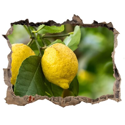 Samolepící nálepka Citrónová záhrada za múrom