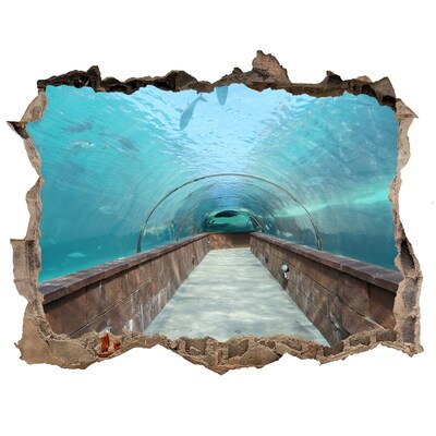 Fototapeta díra na zeď 3D Akvária tunel