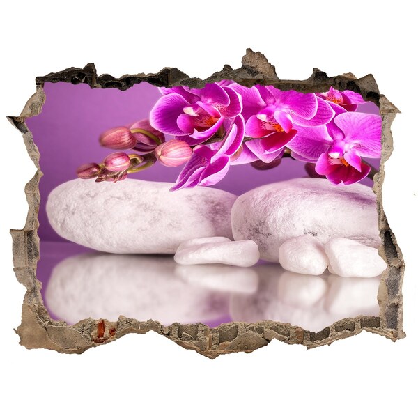 Samolepící díra nálepka Orchidea na pozadí kameňov