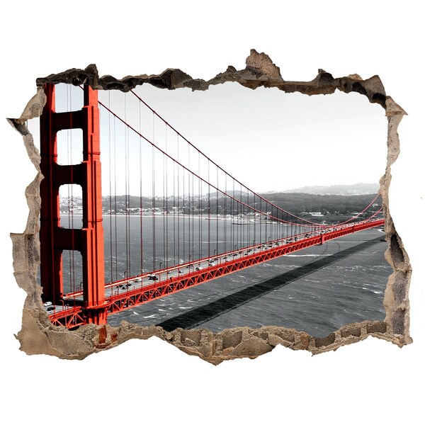 Fototapeta díra na zeď 3D Bridge v san franciscu