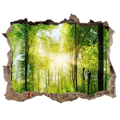 Nálepka fototapeta 3D výhled Forest na slnku