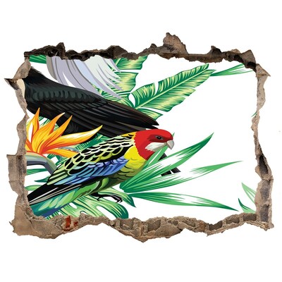 Díra 3D fototapeta nástěnná Tropické vtáky