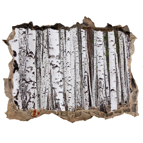 Samolepící díra nálepka beton Lesná oáza bielych brezov