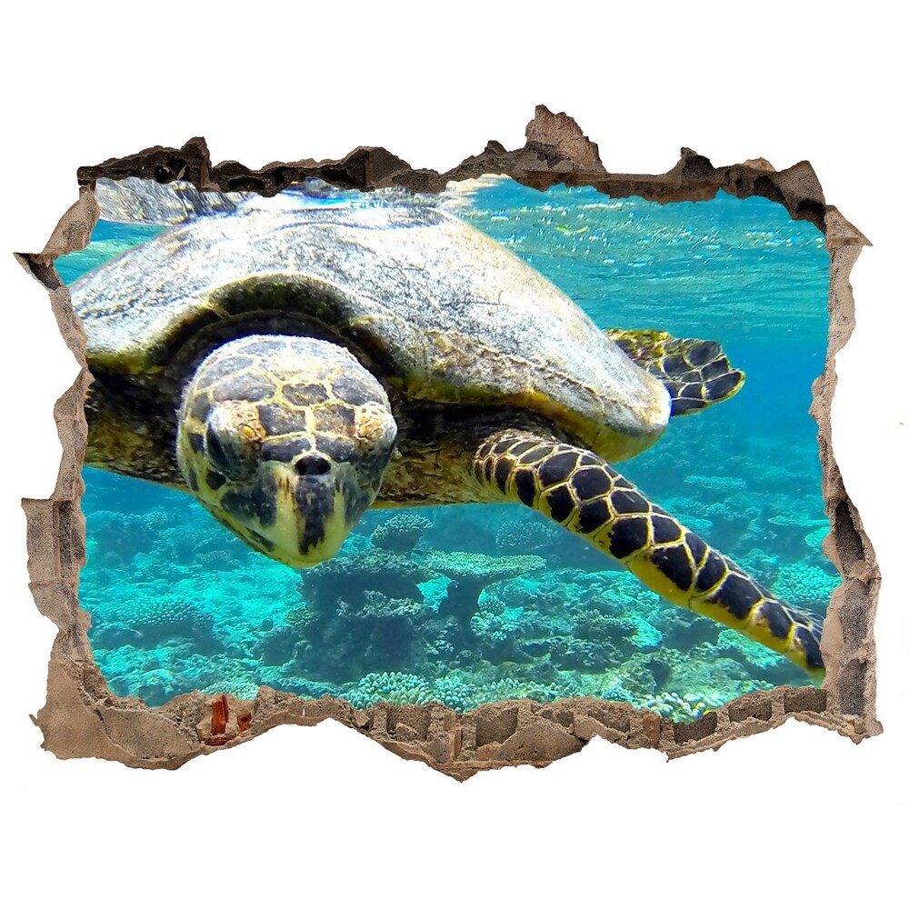 Díra 3D fototapeta nálepka Morská korytnačka